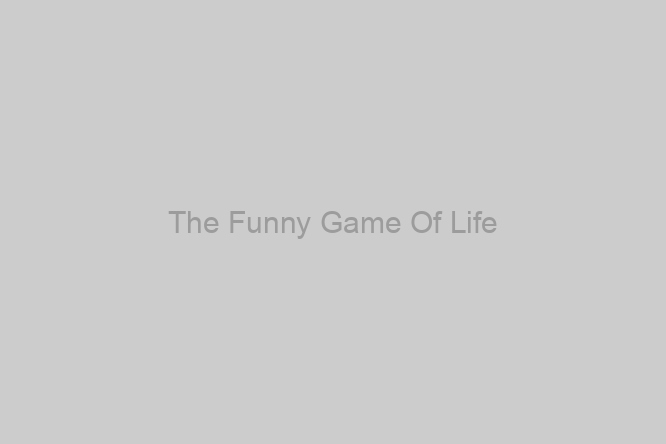The Funny Game Of Life